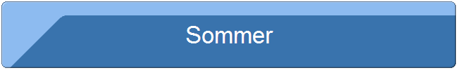 Sommer